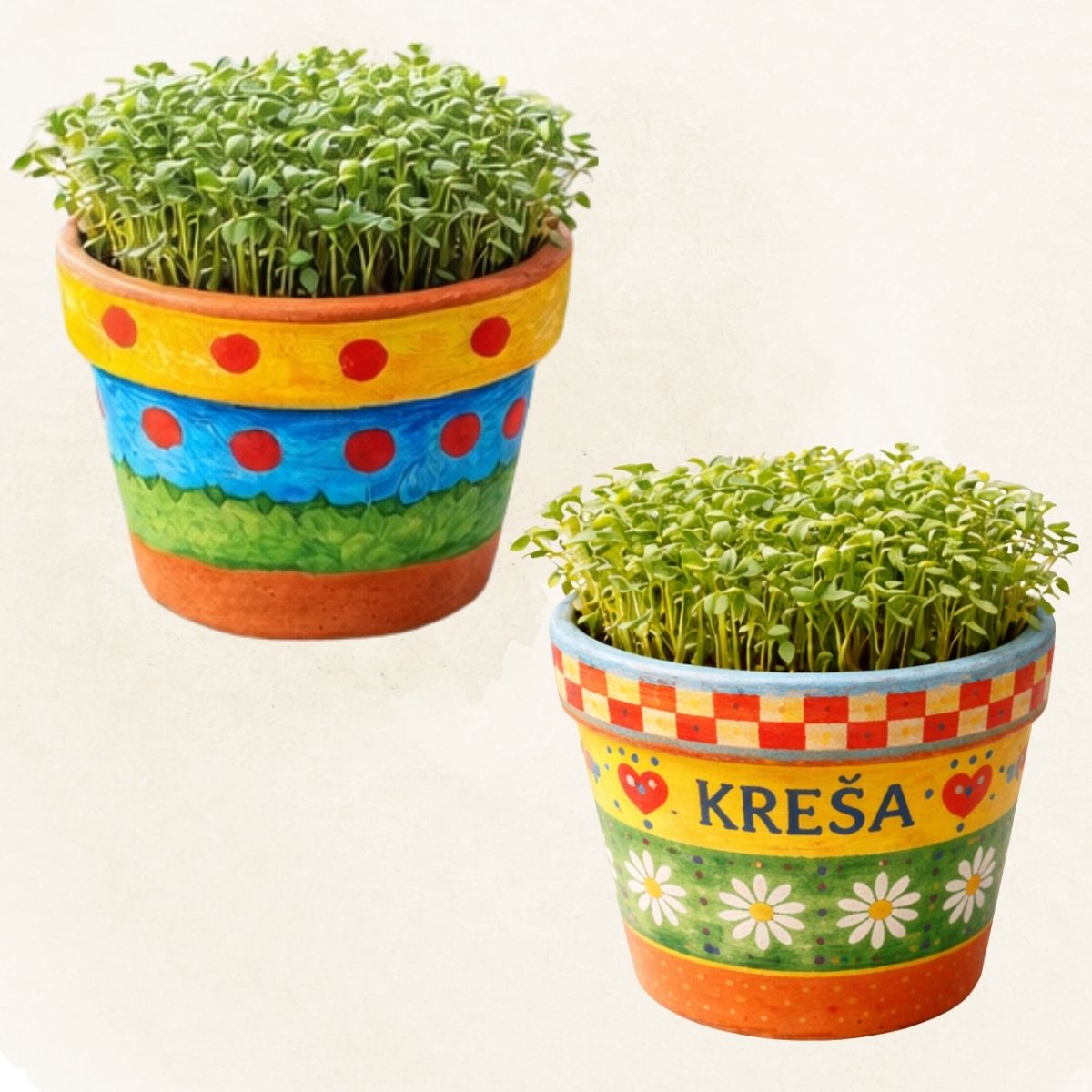 paket za novorojenčka paket za novorojenčka